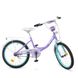 Велосипед детский Profi Princess 20" Сиренево-мятный (Y2015) Фото 1