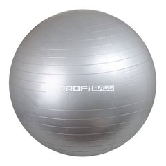 Мяч для фитнеса Profiball, 55 см. Серебристый (M 0275 U/R) Spok