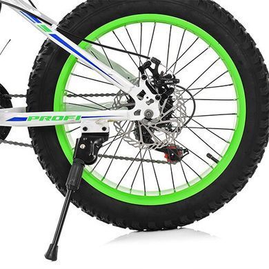 Велосипед Profi EB20POWER 1.0 S20.3 Белый Spok