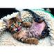 Пазл Trefl Веселый котенок 1000 элементов (10448) Фото 2