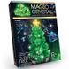 Набор для творчества Danko Toys Magic Crystal (ОМС-01-03) Фото 1