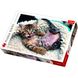Пазл Trefl Веселый котенок 1000 элементов (10448) Фото 1