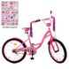 Велосипед детский Profi Bloom 20" Розовый (Y2021-1) Фото 2