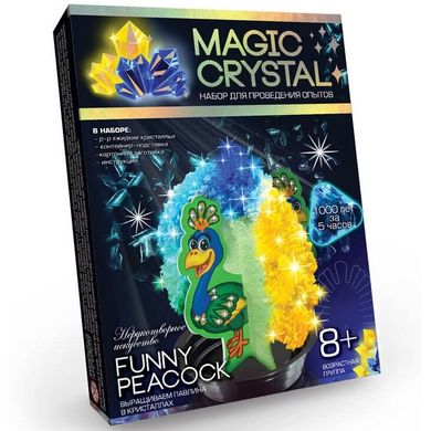 Набор для творчества Danko Toys Magic Crystal (ОМС-01-07) Spok