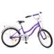 Велосипед детский Profi Star 20" Сиренево-серый (Y2093) Фото 1
