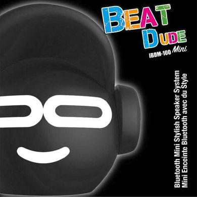 Портативная Bluetooth-колонка iDance Beat Dude Mini 5W Черная (IBDM-100-BLACK) Spok