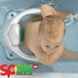 Стульчик для купания OK Baby Flipper Evolution Оранжевый (37990030/45) Фото 4