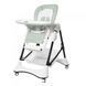 Стульчик для кормления&nbsp;Carrello&nbsp;Stella&nbsp;CRL-9503&nbsp;Aspen Green Spok