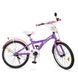 Детский велосипед Profi 20" T2063 Фиолетово-розовый Фото 1