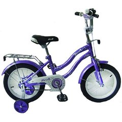 Велосипед Profi Star 18" Фиолетовый (L1893) Spok