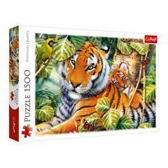 Пазл Trefl Два тигра ,1500 элементов (26159) Spok