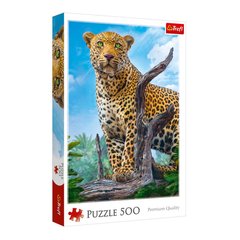 Пазл Trefl Дикий леопард, 500 элементов (37332) Spok