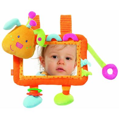 Развивающая игрушка-подвеска Fehn Первое зеркало (142570) Spok