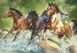 Пазл Trefl Трое диких лошадей, 1500 элементов (26148) Фото 2