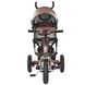 Детский трехколесный велосипед Turbo Trike коричневый (M 3115HAL-13) Фото 3