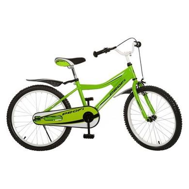Велосипед Profi Trike 20BA494-3 20" Зеленый Spok