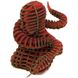 3D-пазл из гофрокартона Kawada D-torso Змея Красный (4,5802386186e+012) Фото 1