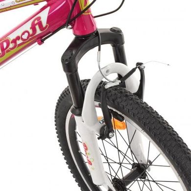 Велосипед детский 20" Profi G20CARE A20.1 Розовый Spok