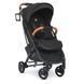 Прогулочная коляска El Camino M 3910 v.2 Black Spok